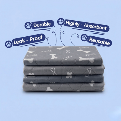 KindPad - The #1 Solution For Anxious Dogs