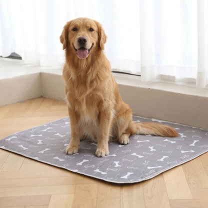 KindPad - The #1 Solution For Anxious Dogs