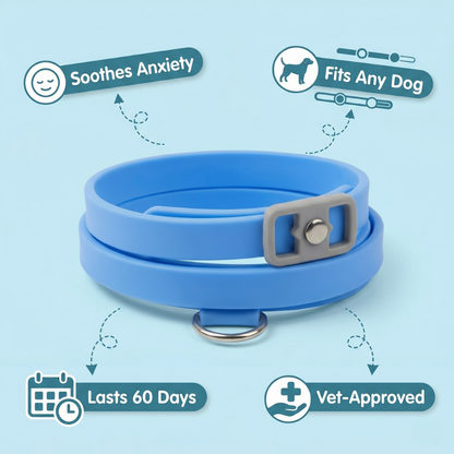 CalmBand - #1 Solution For Anxious Dogs
