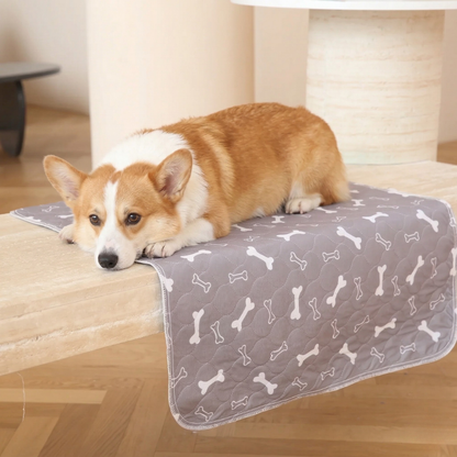 KindPad - The #1 Solution For Anxious Dogs