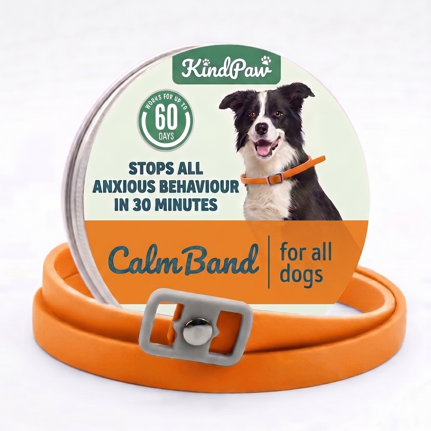 CalmBand - #1 Solution For Anxious Dogs