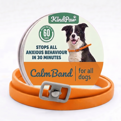 CalmBand - #1 Solution For Anxious Dogs