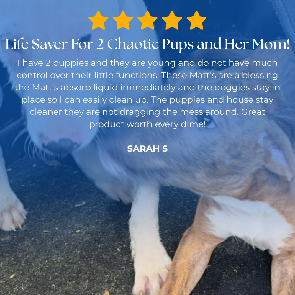 KindPad - The #1 Solution For Anxious Dogs