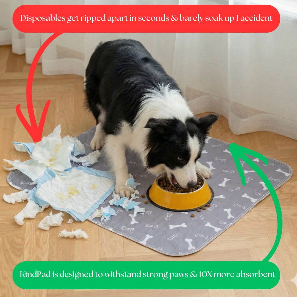 KindPad - The #1 Solution For Anxious Dogs