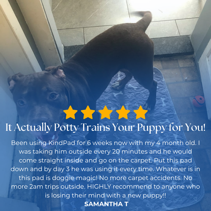 KindPad - The #1 Solution For Anxious Dogs